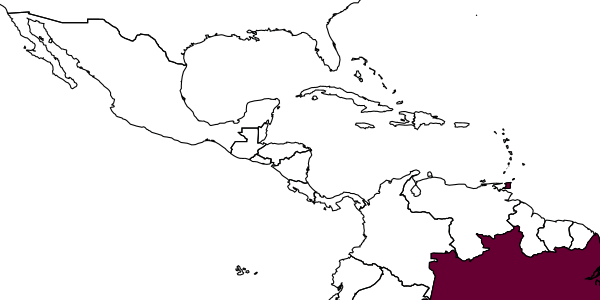 map of Anisepyris broddai     Barbosa & Azevedo, 2018